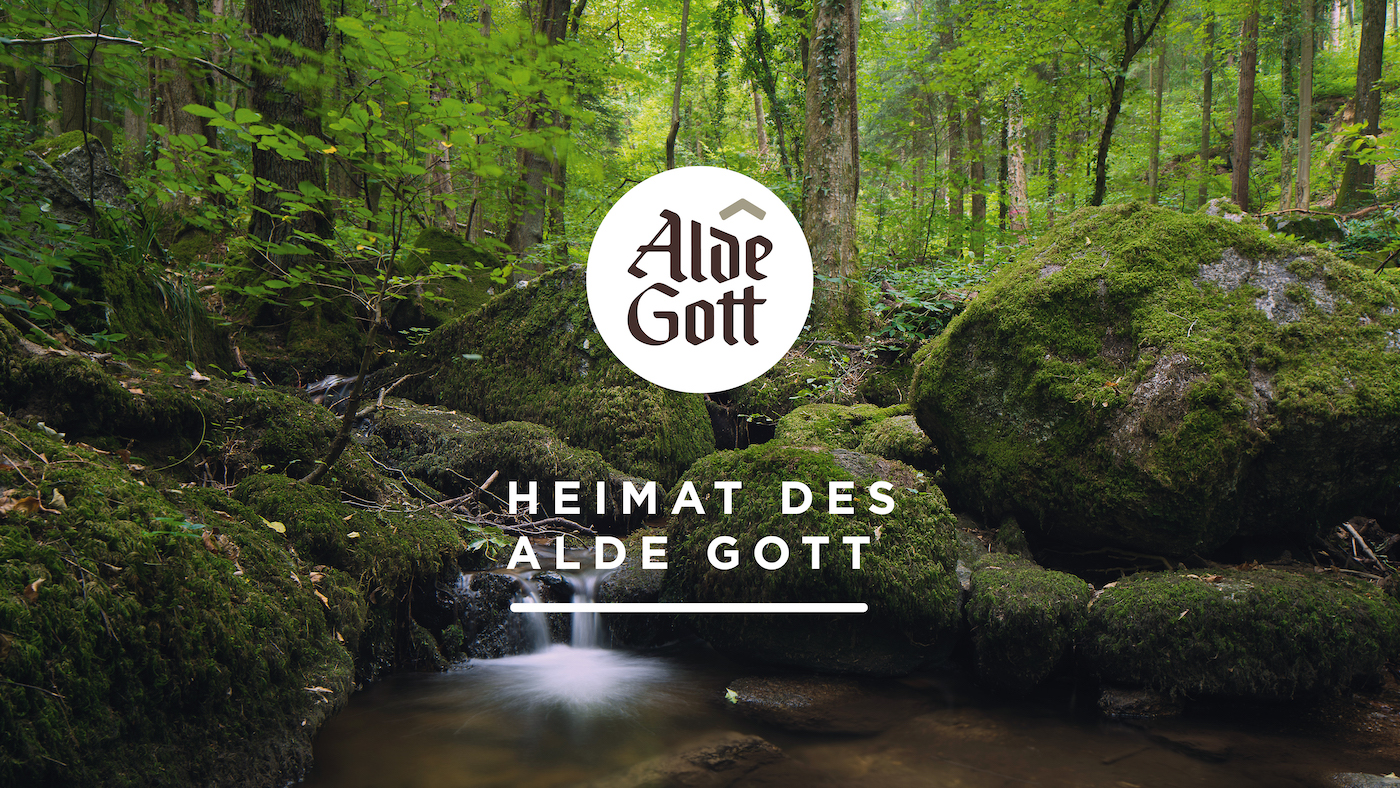 Logo der Winzergenossenschaft Alde Gott und Schriftzug "Heimat des Alde Gott" vor traumhaft-mystischer Schwarzwaldlandschaft mit Bäumen, mit Moos bewachsenen Felsen und einem Flüsschen.